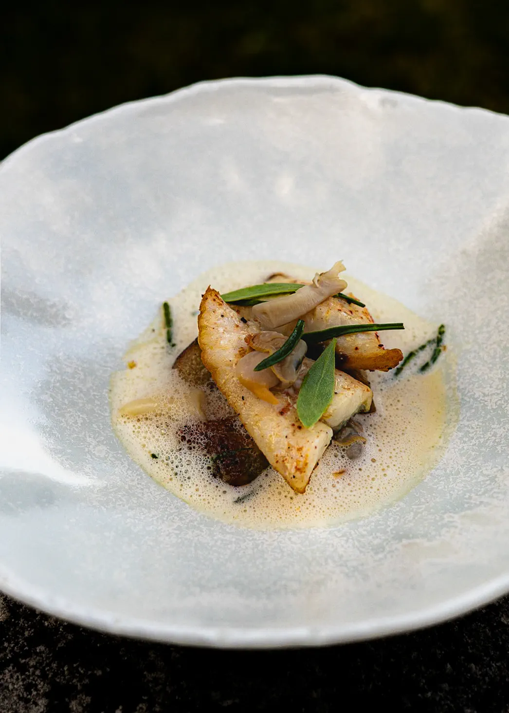 La Pierre Vue Saint Rogatien campagne contenu immobilier photo 4