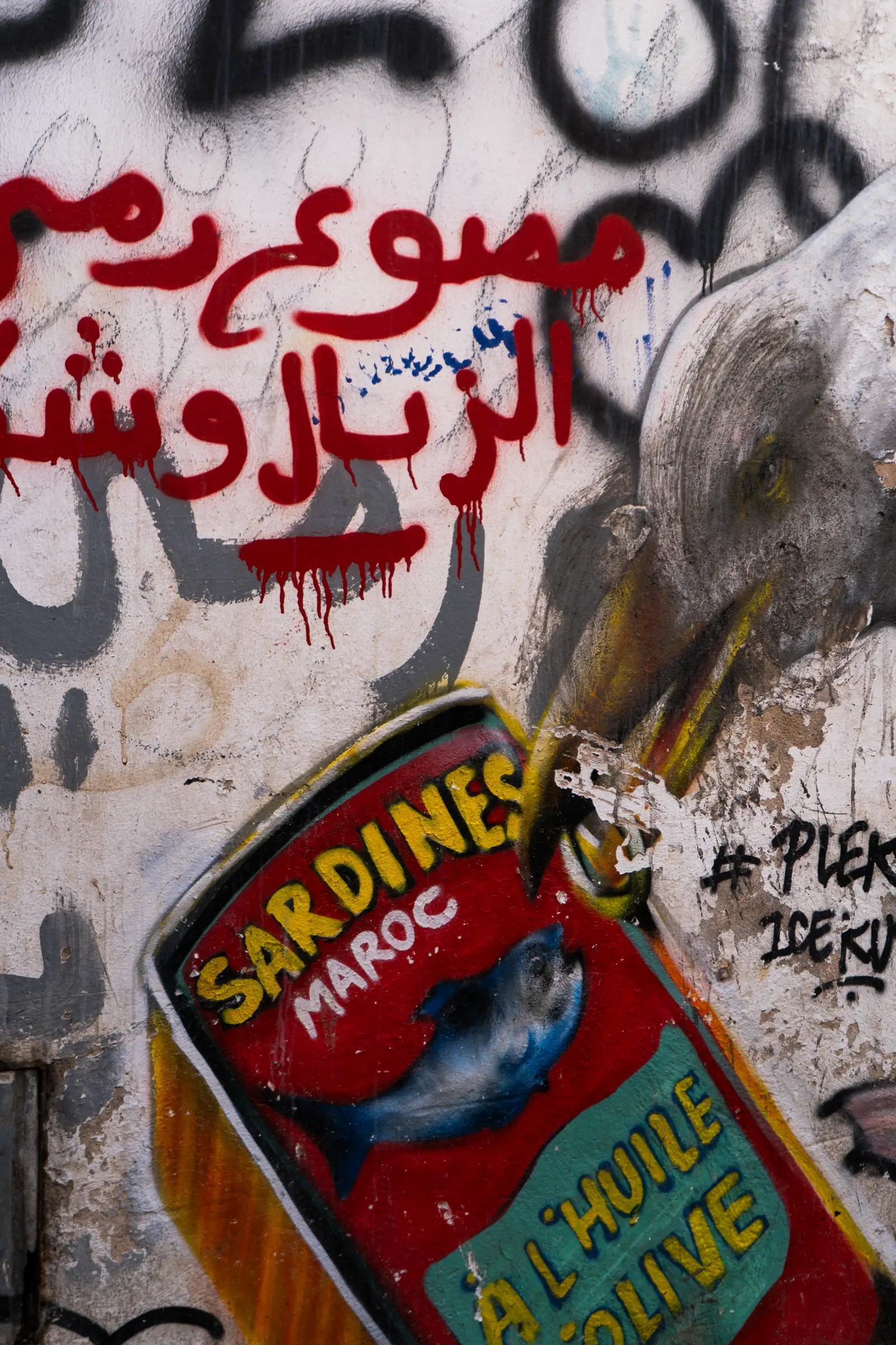 Zinn Media création visuelle lifestyle en extérieur, photo éditoriale 1