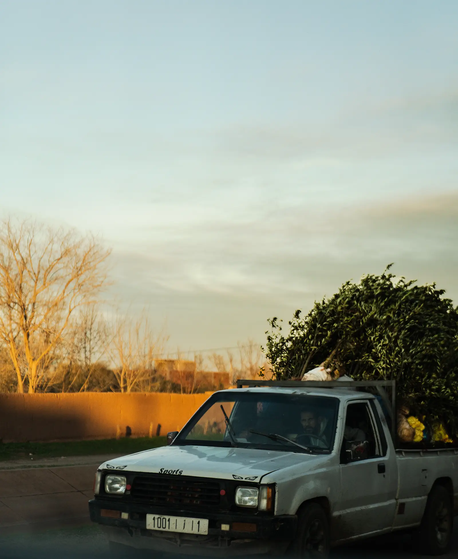 Zinn Media univers créatif et storytelling visuel, photo éditoriale 5