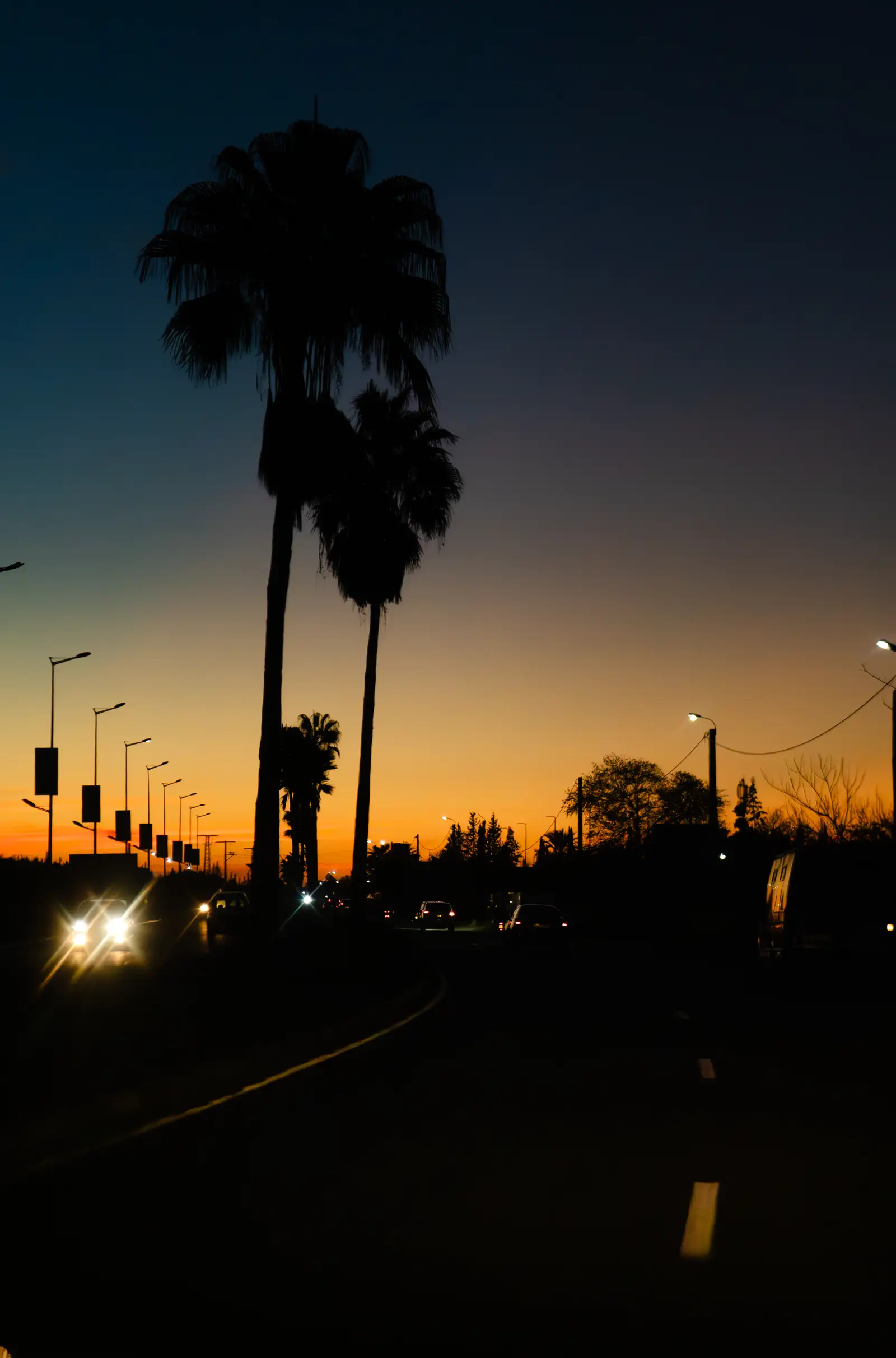 Creation ZINN MEDIA lifestyle photo 21